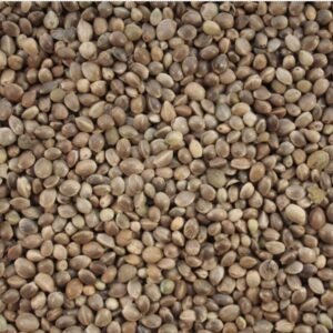 Hemp Seed
