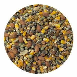 Soak Seed 1KG Parakeet