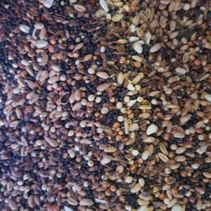 Parrot Conditioner Seed 1KG