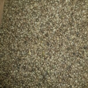 Hemp Seed 1kg