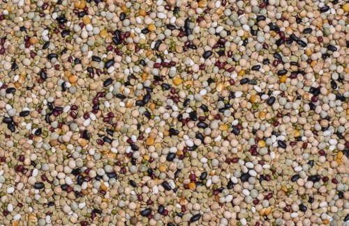 Deli Nature 27 Parrot Cooking Mix 15kg - Image 2