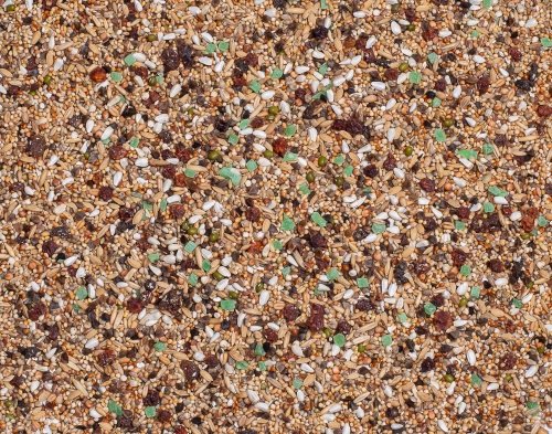 Deli Nature 73 Large Parakeets Supreme With Fruit 20kg - Image 2