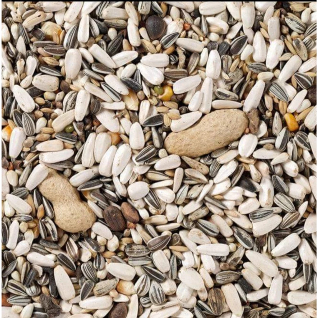 Deli Nature 60 Parrot Basic 15kg - Image 2