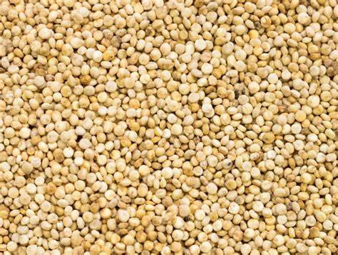 QUINOA SEED 1KG