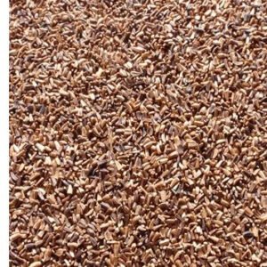 CHICORY SEED 1kg
