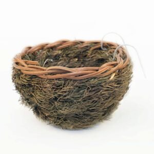 Pine Nest Site 12cm