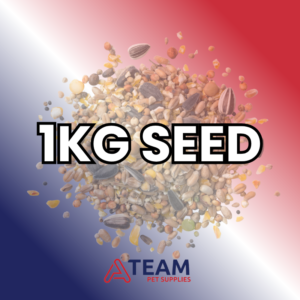 1KG Seed