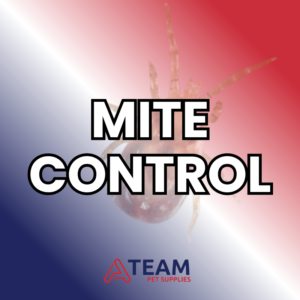 Mite Control