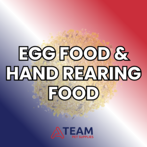 Egg Food & Hand Rearing Food