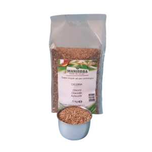 MANITOBA - Chicory 500g